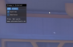 Sleepy's Overwatch 2 External | (Aimbot, Triggerbot, ESP) screenshot